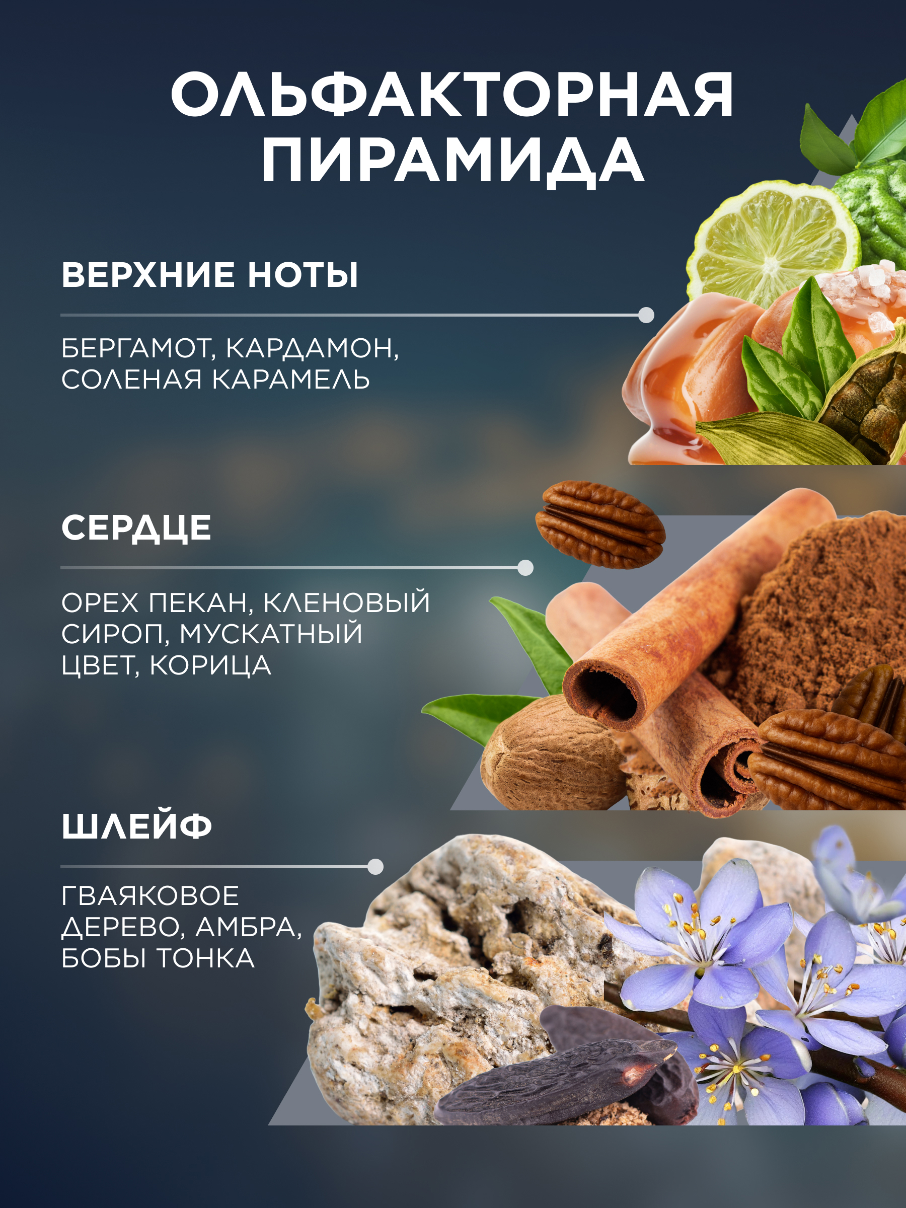 ольфакторная пирамида mur mur blanc