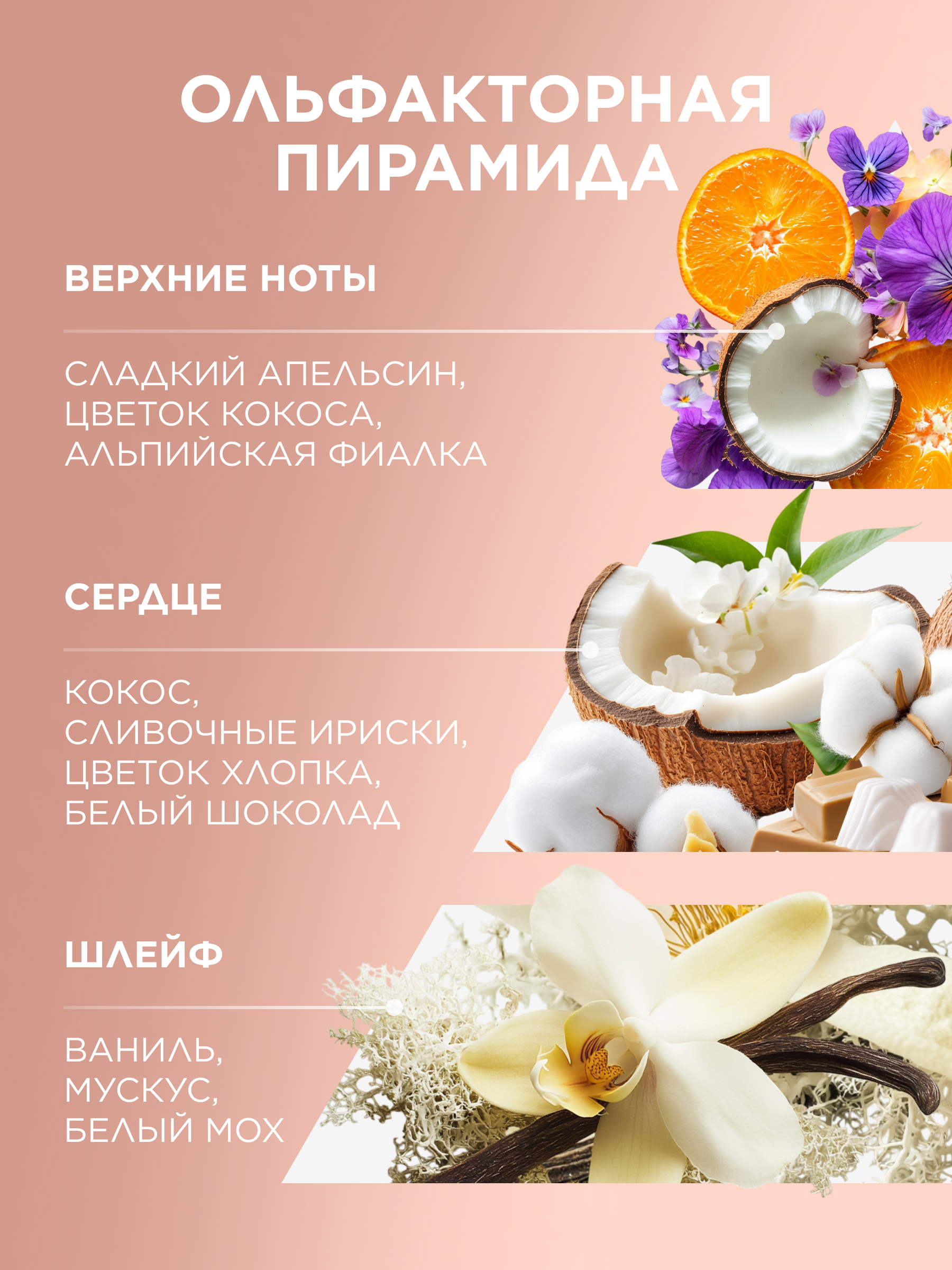 ольфакторная пирамида mur mur
