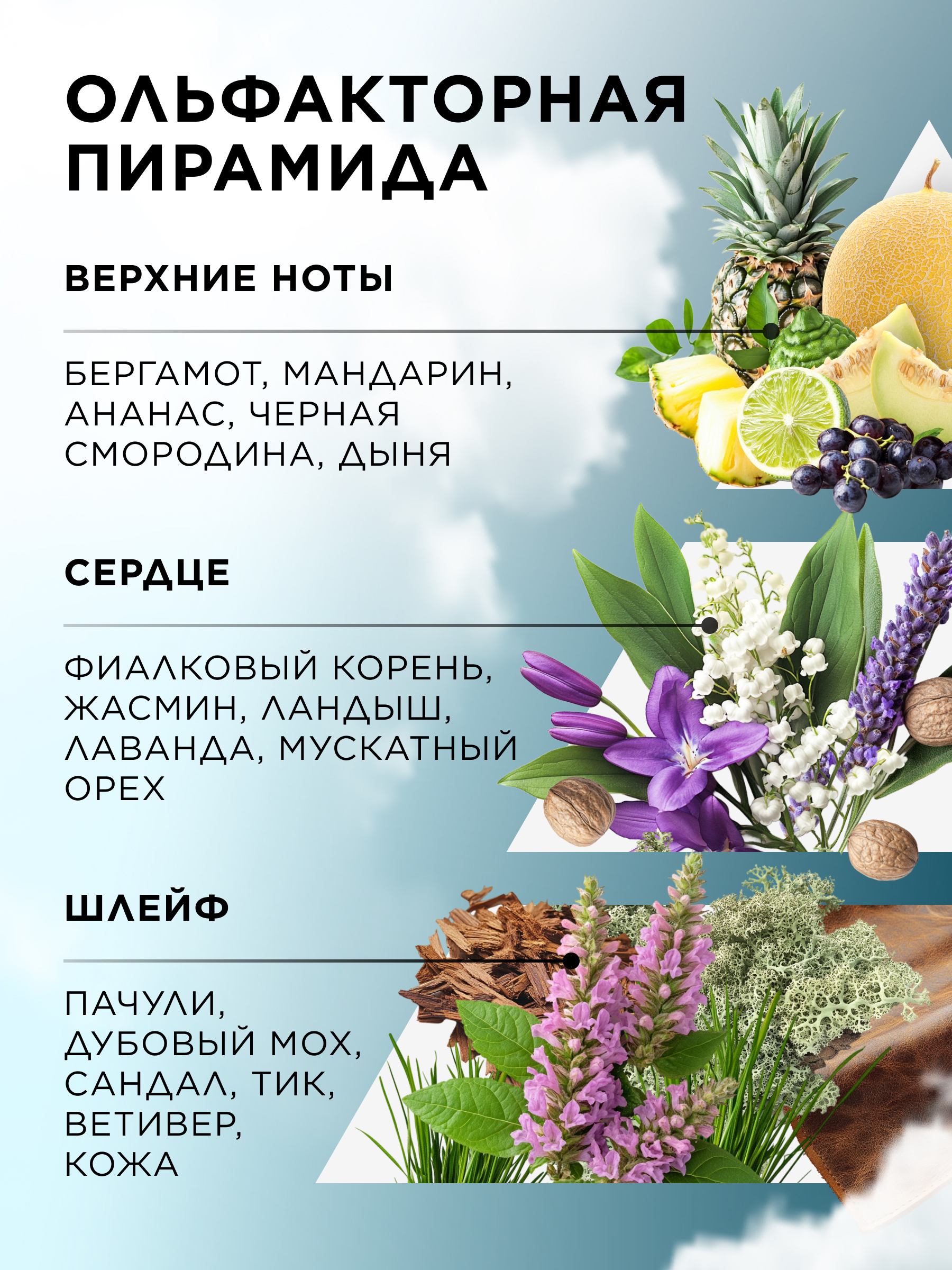 олфакторная пирамида